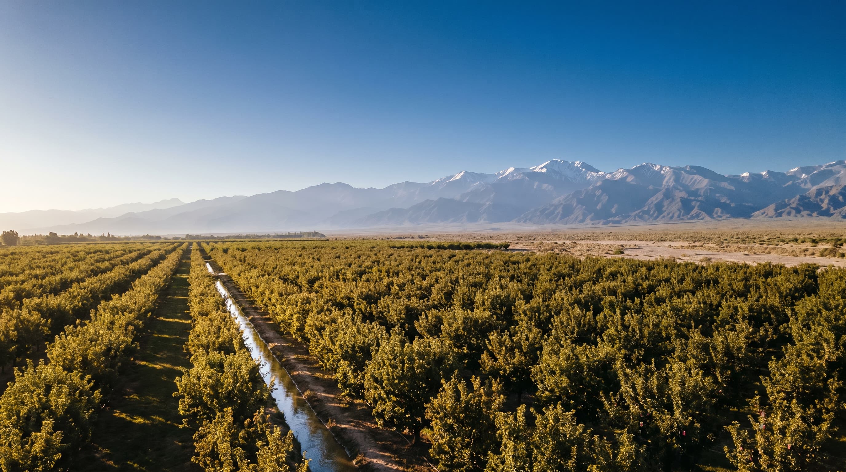 No oásis do sul de Mendoza.
