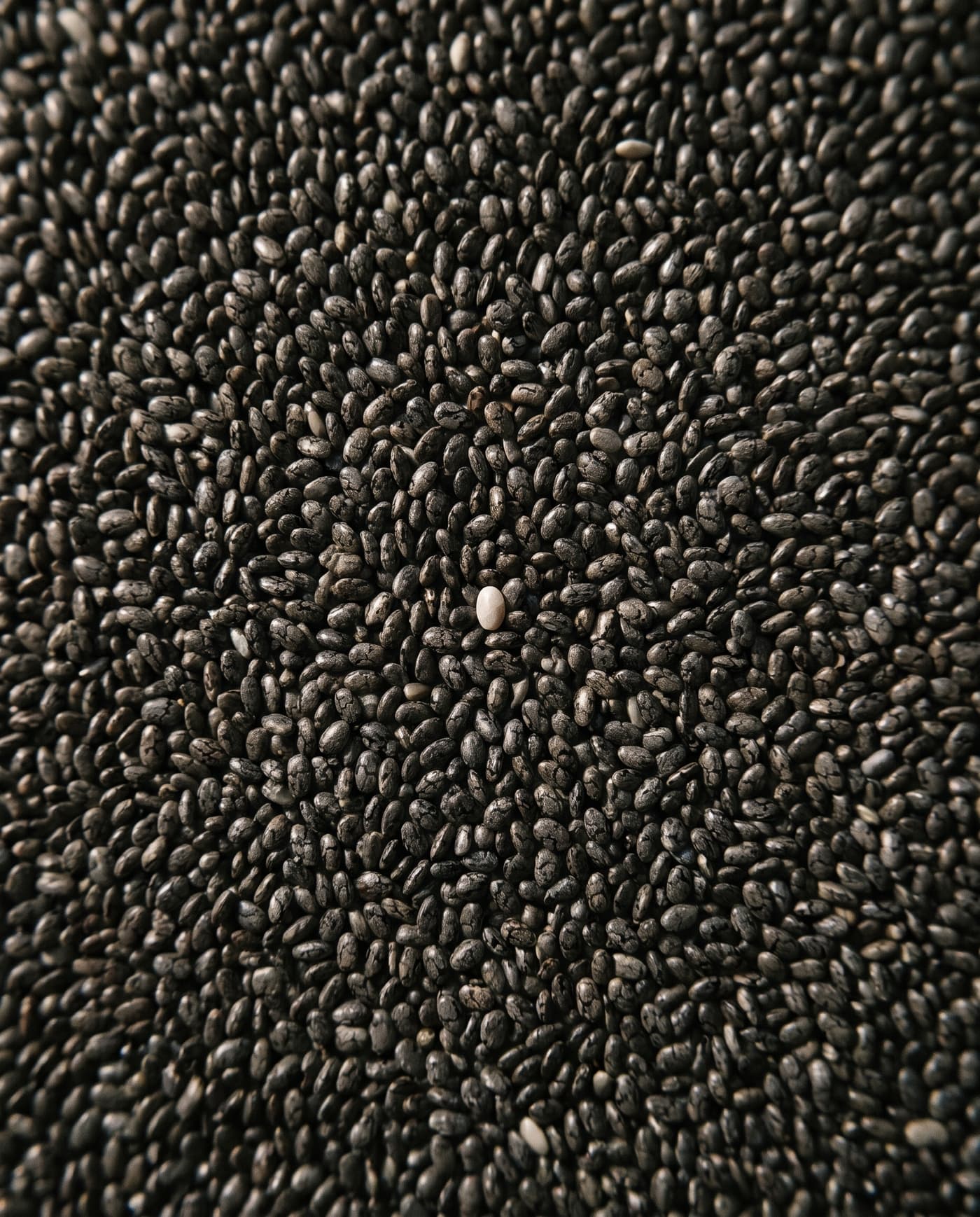 Chia Premium — Preta por seleção.